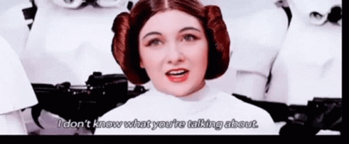 Princess Leia Talking to Stormtroopers