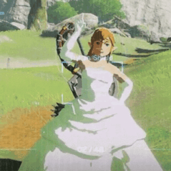 Princess Zelda With Bow GIF