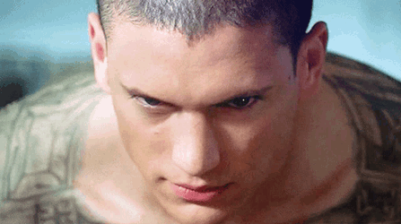 Prison Break GIF
