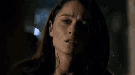 Prison Break Veronica Donovan GIF