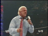 Pro Wrestler Ric Flair GIF
