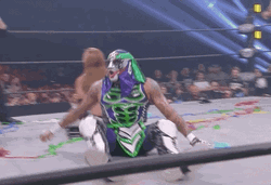 Pro Wrestling Sport Woooo GIF