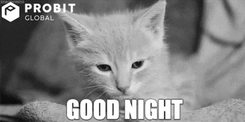 Probit Global Goodnight Cat GIF