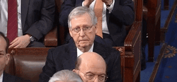 Problematic Mitch Mcconnell Turtle GIF