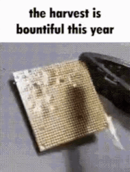 Processor Harvest Is Bountiful GIF