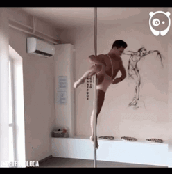 Professional Pole Dancing Man GIF