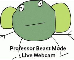 Professor Beast Mode Live Webcam
