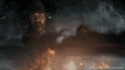 Professor Dumbledore Stop GIF