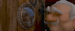Professor Lavrof In The Mirror GIF