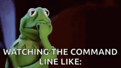 Programming Command Line Kermit The Frog GIF