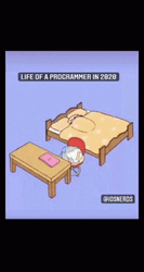 Programming Developer Day And Night Life GIF