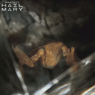 Project Hail Mary Crab Poster GIF