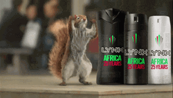 Promotional Ads Dancing Squirrel GIF
