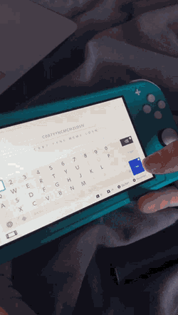 Proof Nintendo Switch Lite GIF