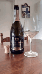 Prosecco Coz Life's Too Short For Boring Drinks GIF