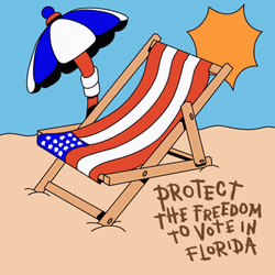 Protect The Freedom To Vote In Florida GIF