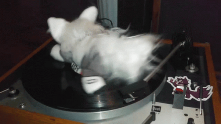 Protogen Spinning On A Turntable GIF
