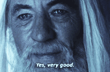 Proud Gandalf Very Good GIF