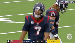 Proud Texans Player GIF