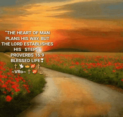 Proverbs 16 9 Heart Plans Lord Establishes Steps GIF