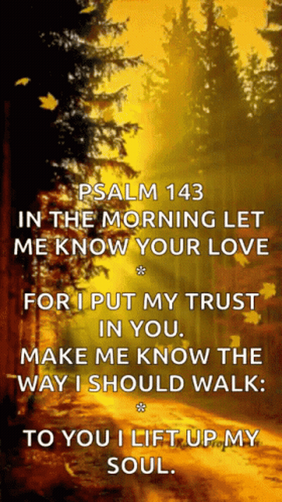 Psalm 143 Morning Love GIF