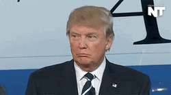 Psh That's A Lie Donald Trump GIF