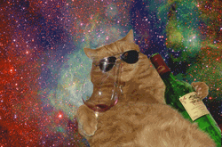 Psychedelic Cat With Wine