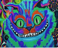Psychedelic Cheshire Cat