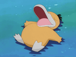 Psyduck Sleeping In Water GIF