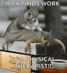 Pt Physical Therapist Little Squirrel  GIF