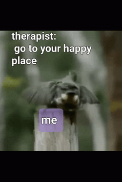 Pt Physical Therapy Bird Mating Dance Meme GIF