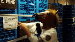 Ptsd Meme Don't Touch Horse Mask GIF