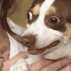Ptsd Wide Eyes Changing Mood Meme GIF