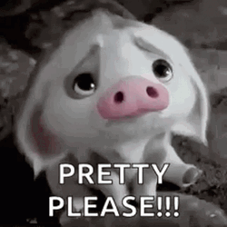 Pua Pig Saying Pretty Please