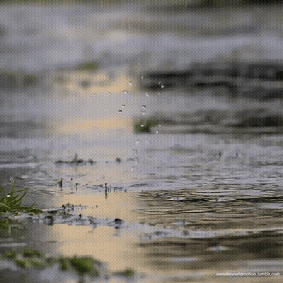 Puddle Of Water With Wonderworldmotion.tumblr.com GIF