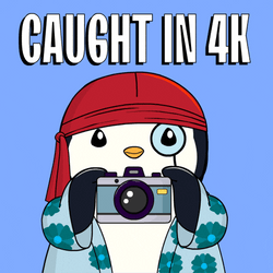 Pudgy Penguin Holding Camera Caught In 4K GIF