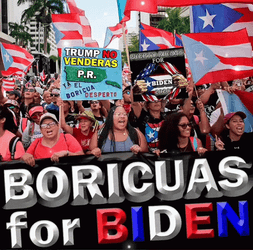 Puerto Rico Support For Biden GIF