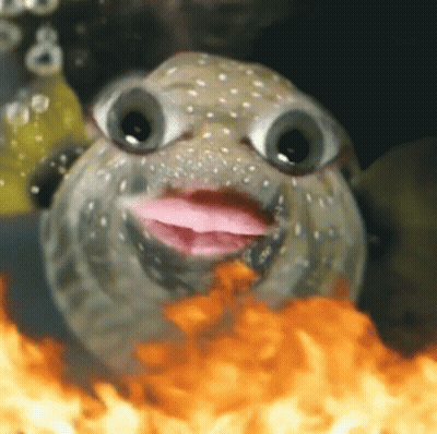 Puffer Fish With Pink Tongue Sticking Out Surrounded By Flames GIF
