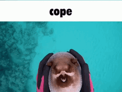 Pufferfish Diver Squeeze Cope GIF