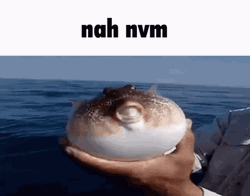 Pufferfish Ocean Release Nah GIF