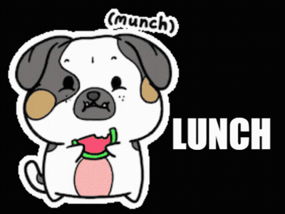 Pug Dog Eating Purple Bag Saying Lunch GIF