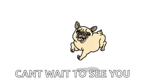 Pug Dog Jumping With Cant Wait To See You GIF