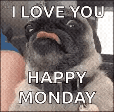 Pug Dog Saying I Love You GIF