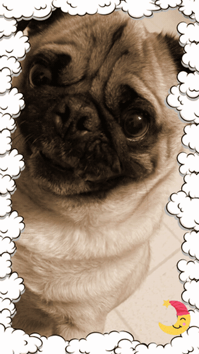 Pug Dog Surrounded By Clouds And Moon GIF