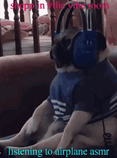 Pug Dog Wearing Headphones Listening To Airplane ASMR GIF