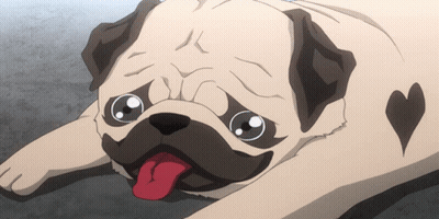 Pug Dog With Heart On Chest Laying Down GIF