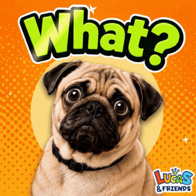 Pug Dog With Lucas & Friends GIF