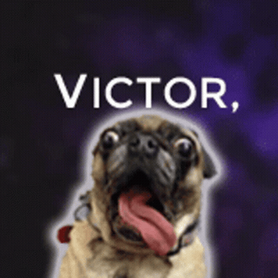 Pug Dog With Tongue Out Victor GIF