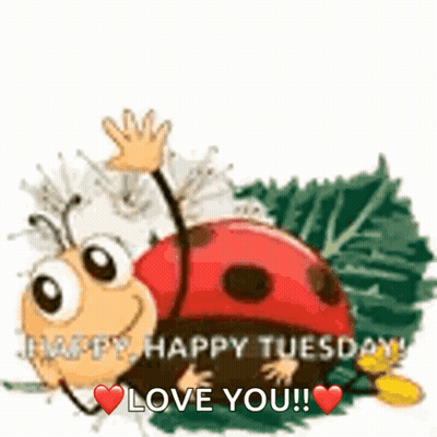 Pug Eating Taco Says I Love You Happy Tuesday GIF