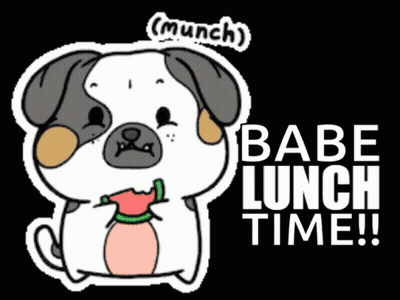 Pug Eating Watermelon Saying Babe Lunch Time GIF